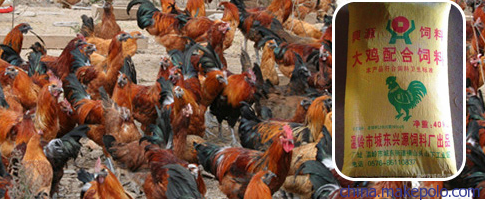 浙江家禽喂养饲料价格现状与趋势分析