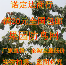 护鸟网产品选购指南 全面解析与农业应用